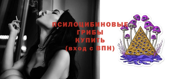 прущий лед Горняк