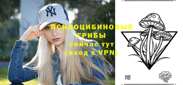 экстази Гусь-Хрустальный