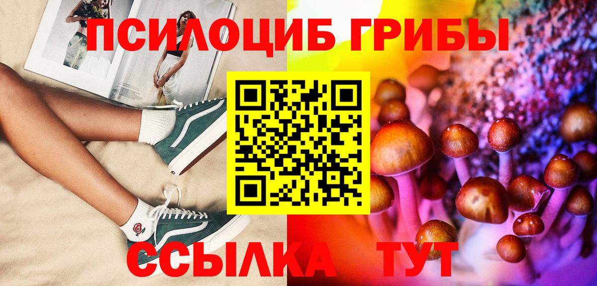 Псилоцибиновые грибы Psilocybine cubensis  Вход с VPN  Москва 